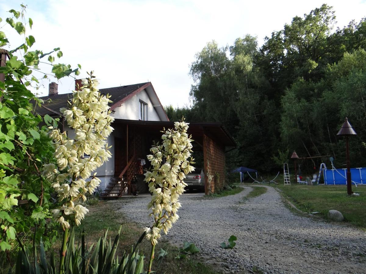 Dom Na Wzgorzu Apartment Gorlice Exterior foto
