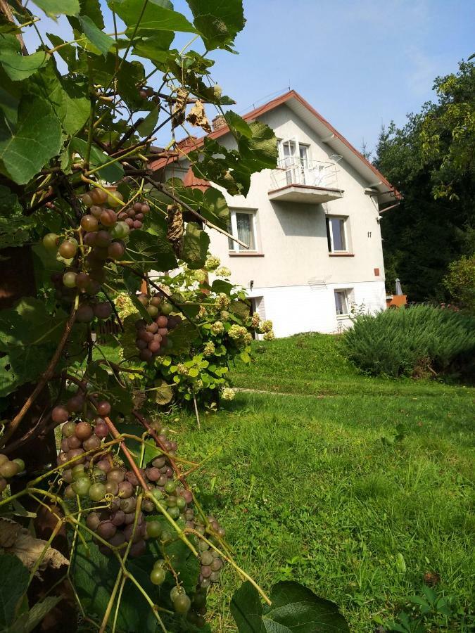 Dom Na Wzgorzu Apartment Gorlice Exterior foto